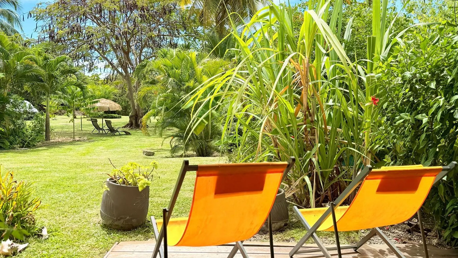 Appartement - Caritan Beach Studio - Sainte-Anne